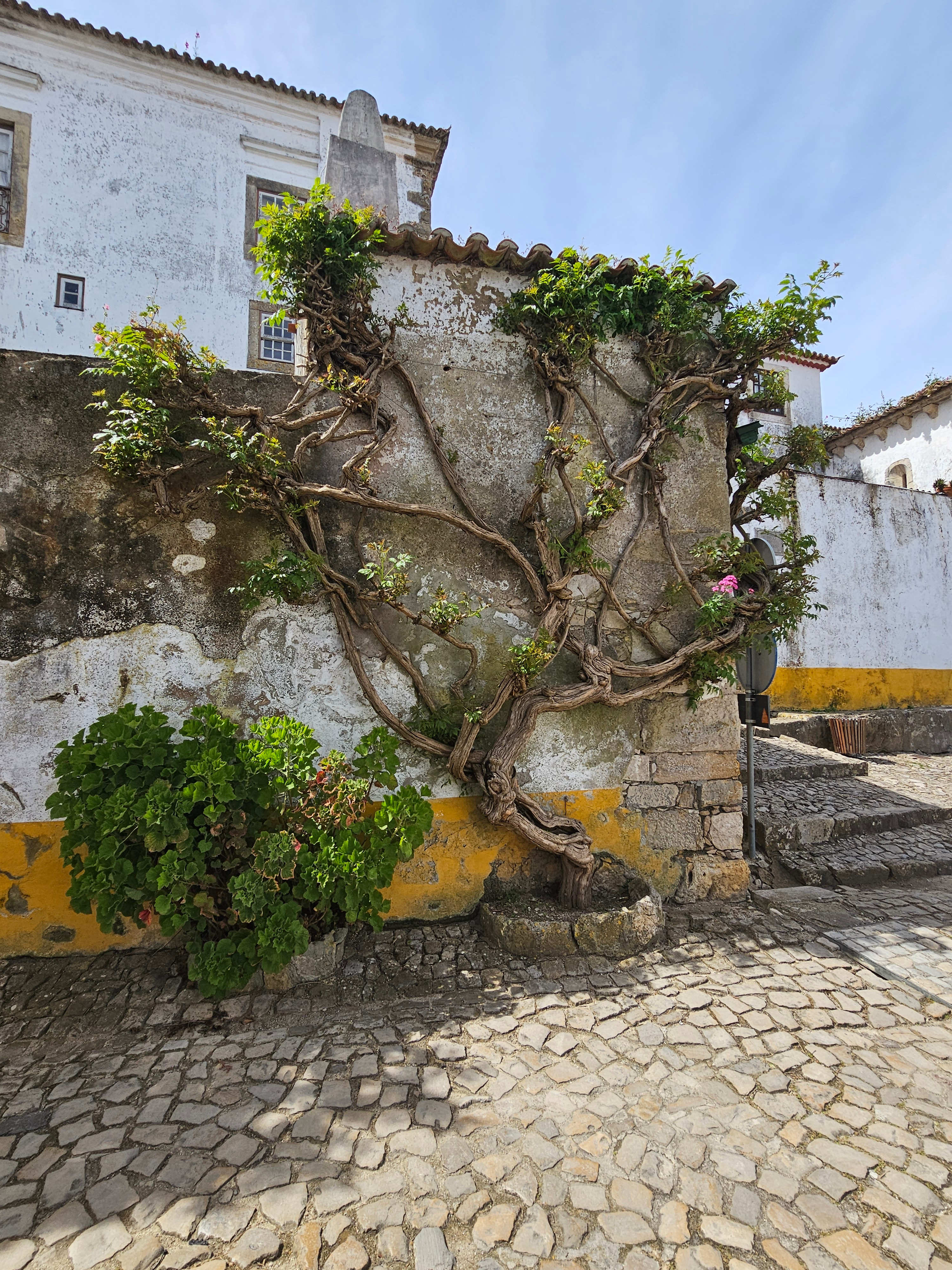 Obidos